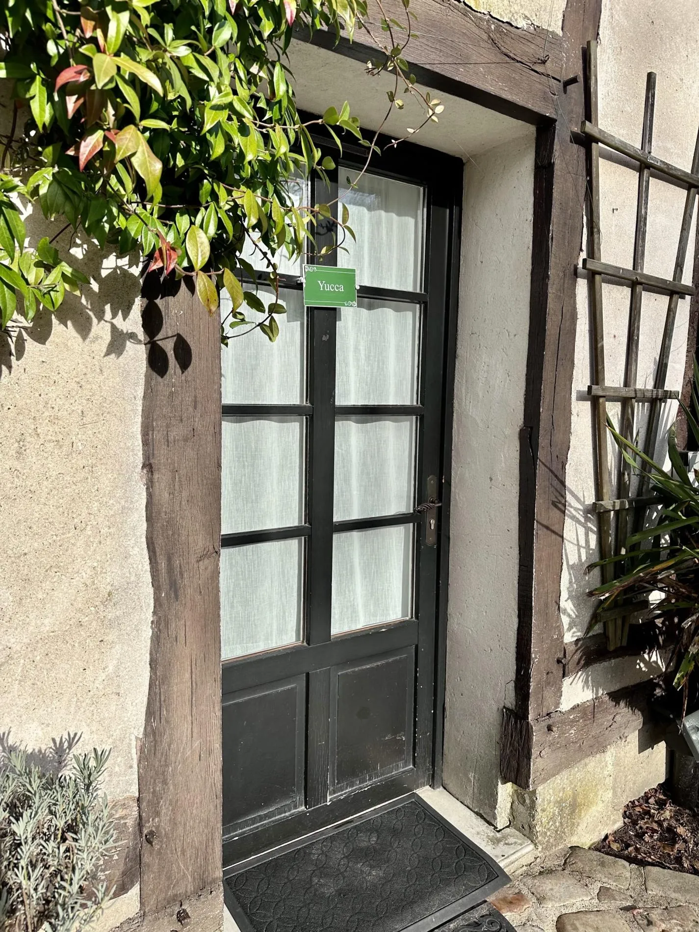 Chambre Yucca — photo 3